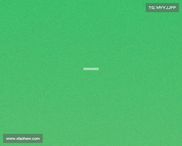 将来猛龙队赛事有哪些